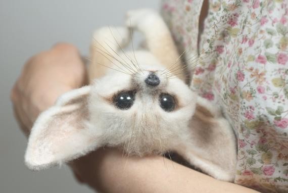 Fennec